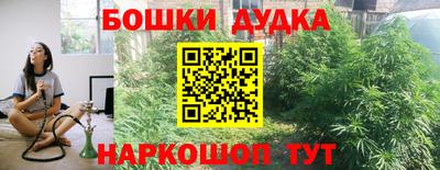 МДПВ Гусев